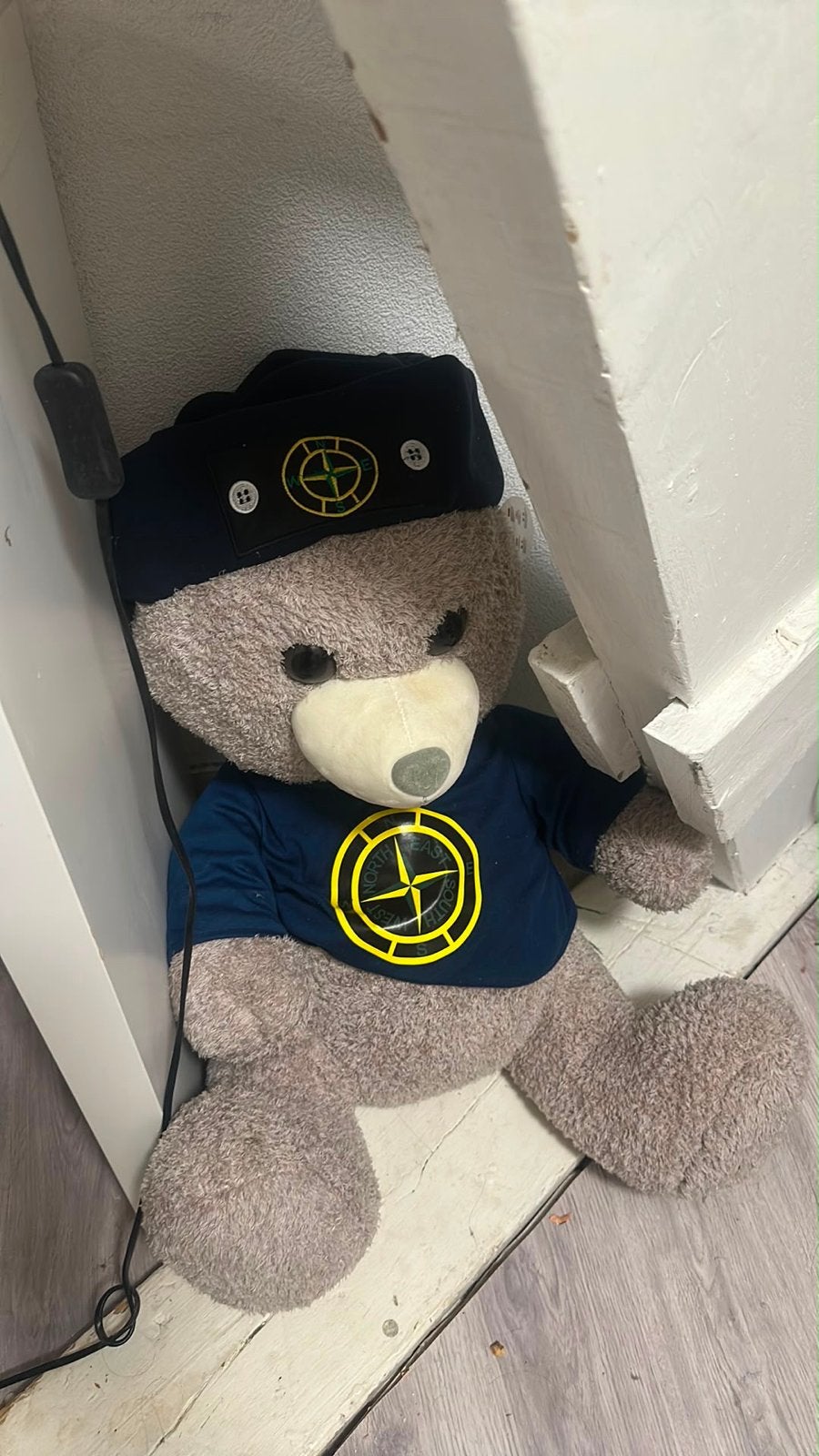 Stone Island Teddybeer met Kleding, Kinderen en Baby's, Ophalen, Gebruikt, Beer, Middelgroot (20 tot 80 cm)
