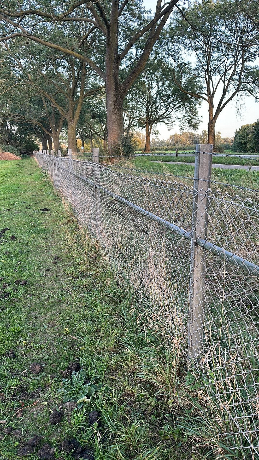 Hekwerk, Tuin en Terras, Ophalen, Gebruikt, IJzer, Gaashekwerk