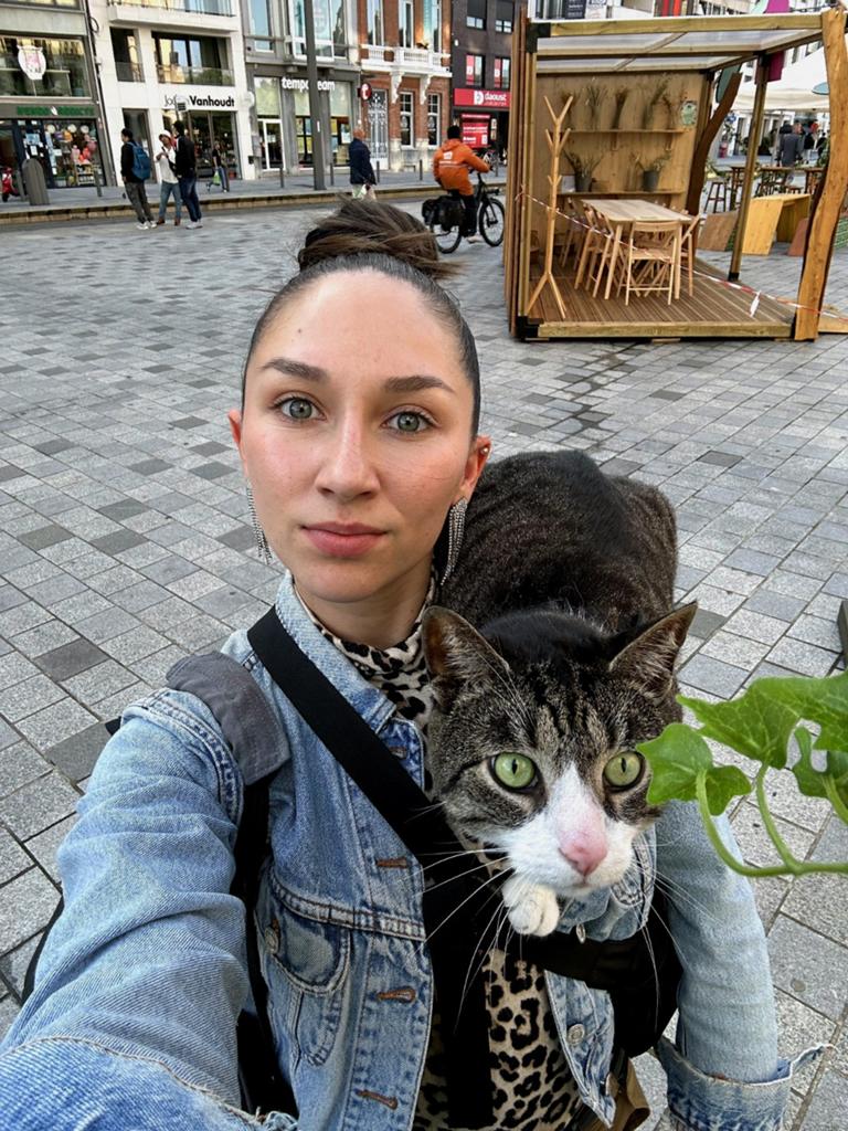 VERMIST kater Koekie 3 pootjes