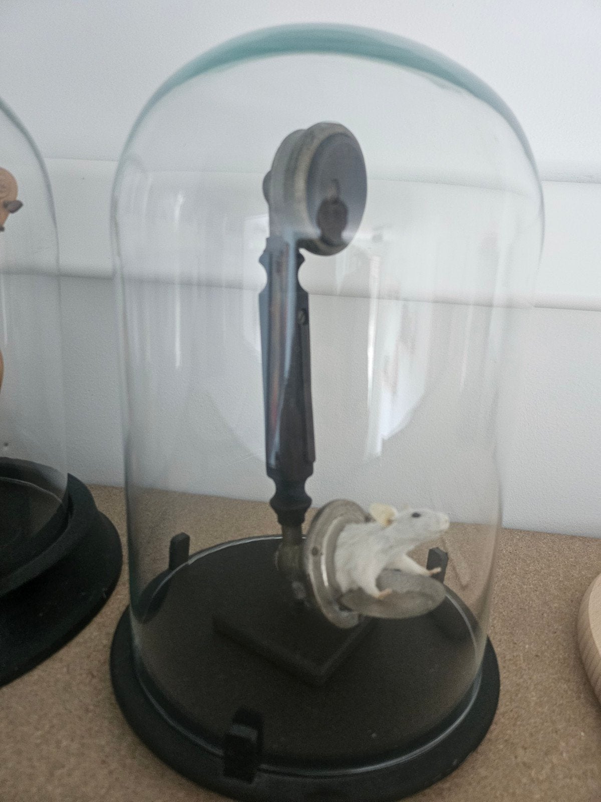 Opgezette muis in glazen stolp - Uniek decoratiestuk, Antiek en Kunst, Ophalen of Verzenden