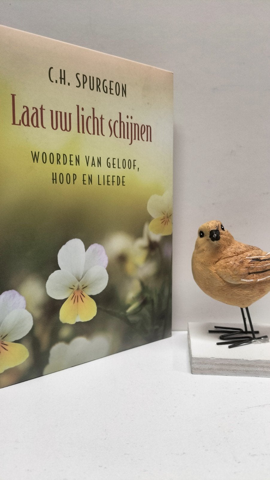 Spurgeon, C.H.; Laat uw licht schijnen, Ophalen of Verzenden, Gelezen, Christendom | Protestants