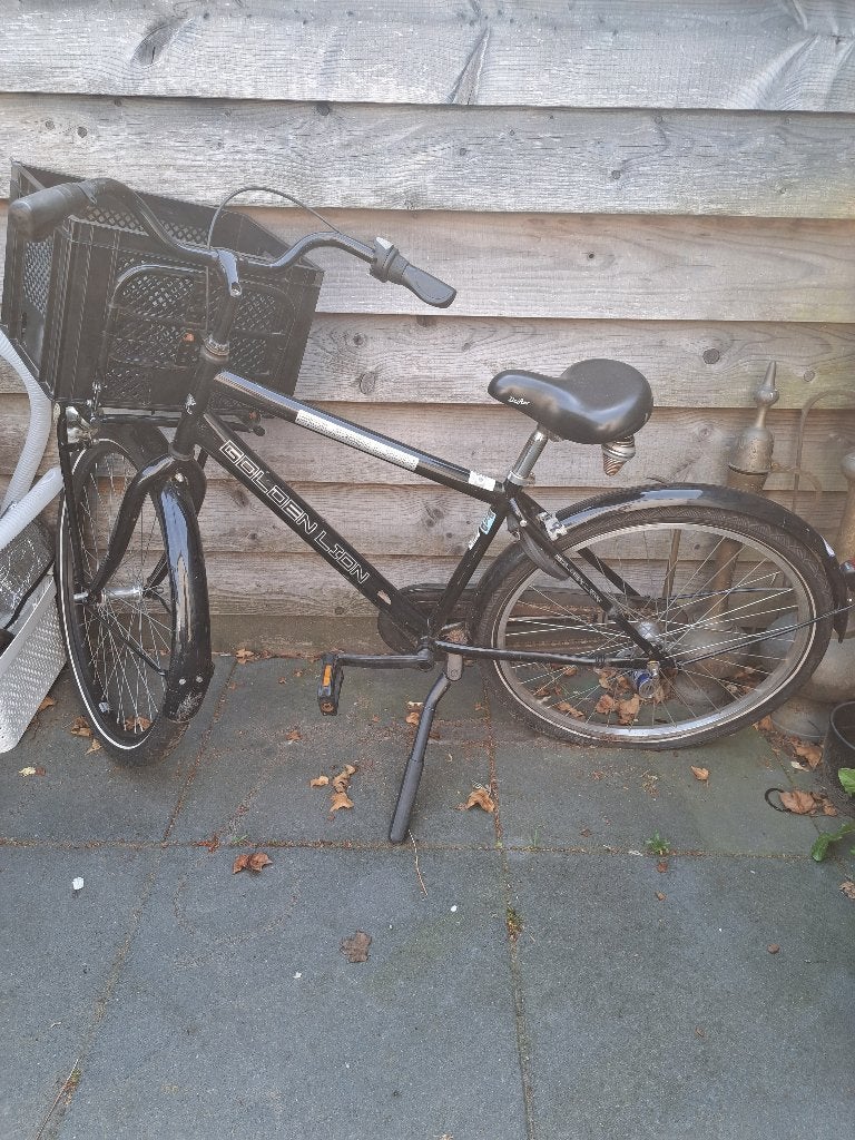Golden Lion - Jongensfiets met krat (opknapper), Ophalen, Versnellingen, Golden Lion, Gebruikt