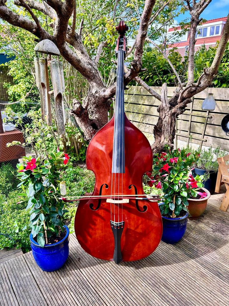 3/4 contrabas te koop, Muziek en Instrumenten, Strijkinstrumenten | Contrabassen, Gebruikt, 3/4-contrabas, Ophalen