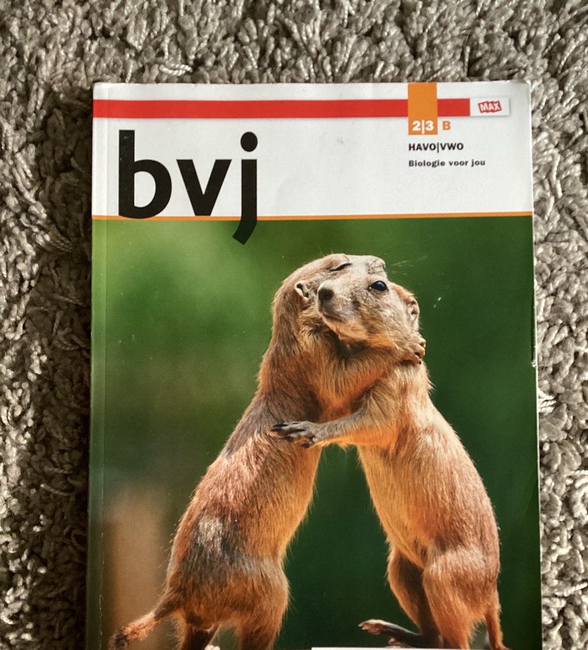 BVJ natuurkunde hav-vwo 2-3B, Ophalen of Verzenden, Zo goed als nieuw, Natuurkunde