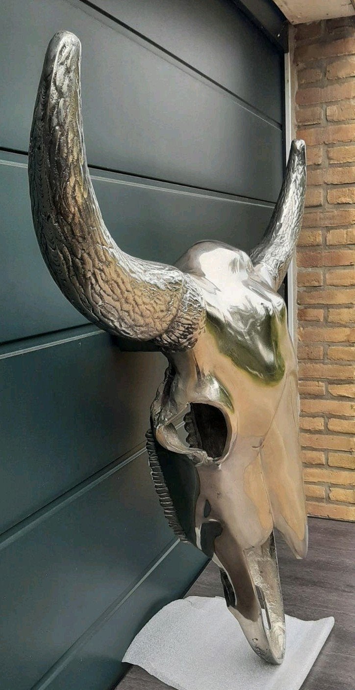 Prachtige grote Waterbuffel schedel, Skull. Sculptuur, Ophalen, Metaal, Wandsculptuur, Zilver