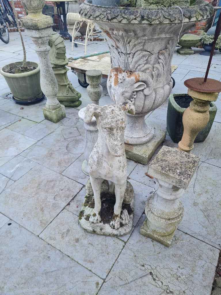 Betonnen tuinbeeld jachthond foto 1 t/m 10, Ophalen, Gebruikt, Belle Vieille Brocante, Jolandamonsieurs@gmail.com