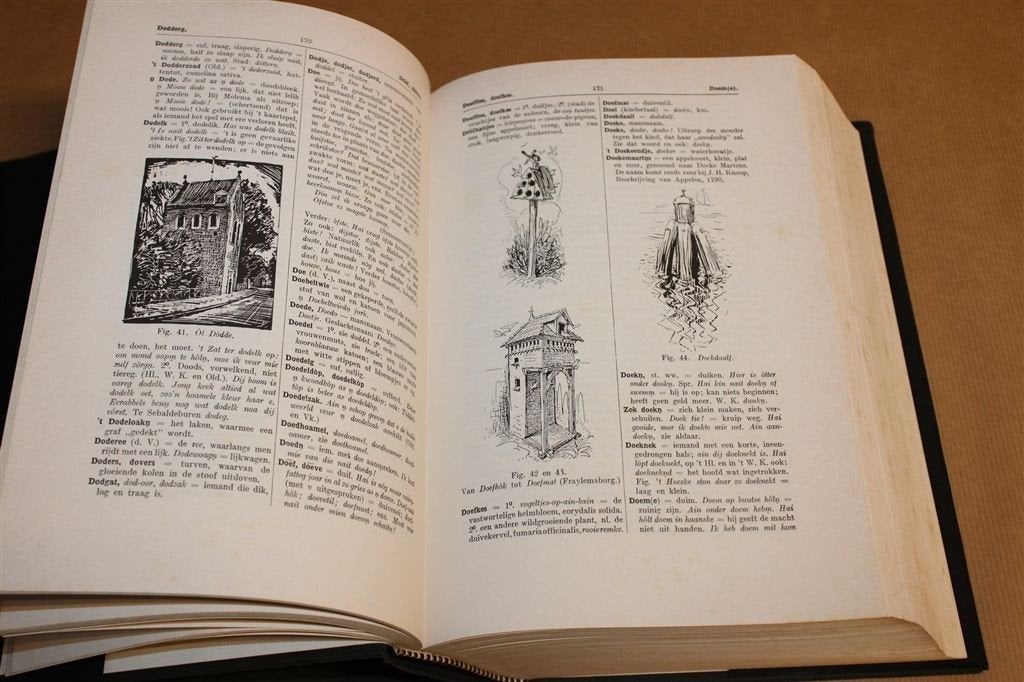 Nieuw Groninger Woordenboek — K. ter Laan — Dijkstra, Ophalen of Verzenden, Gelezen