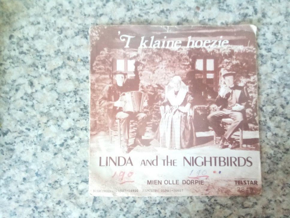 Linda and the Nightbirds - 't Kleine Hoezie, Ophalen of Verzenden, Gebruikt, Nederlandstalig