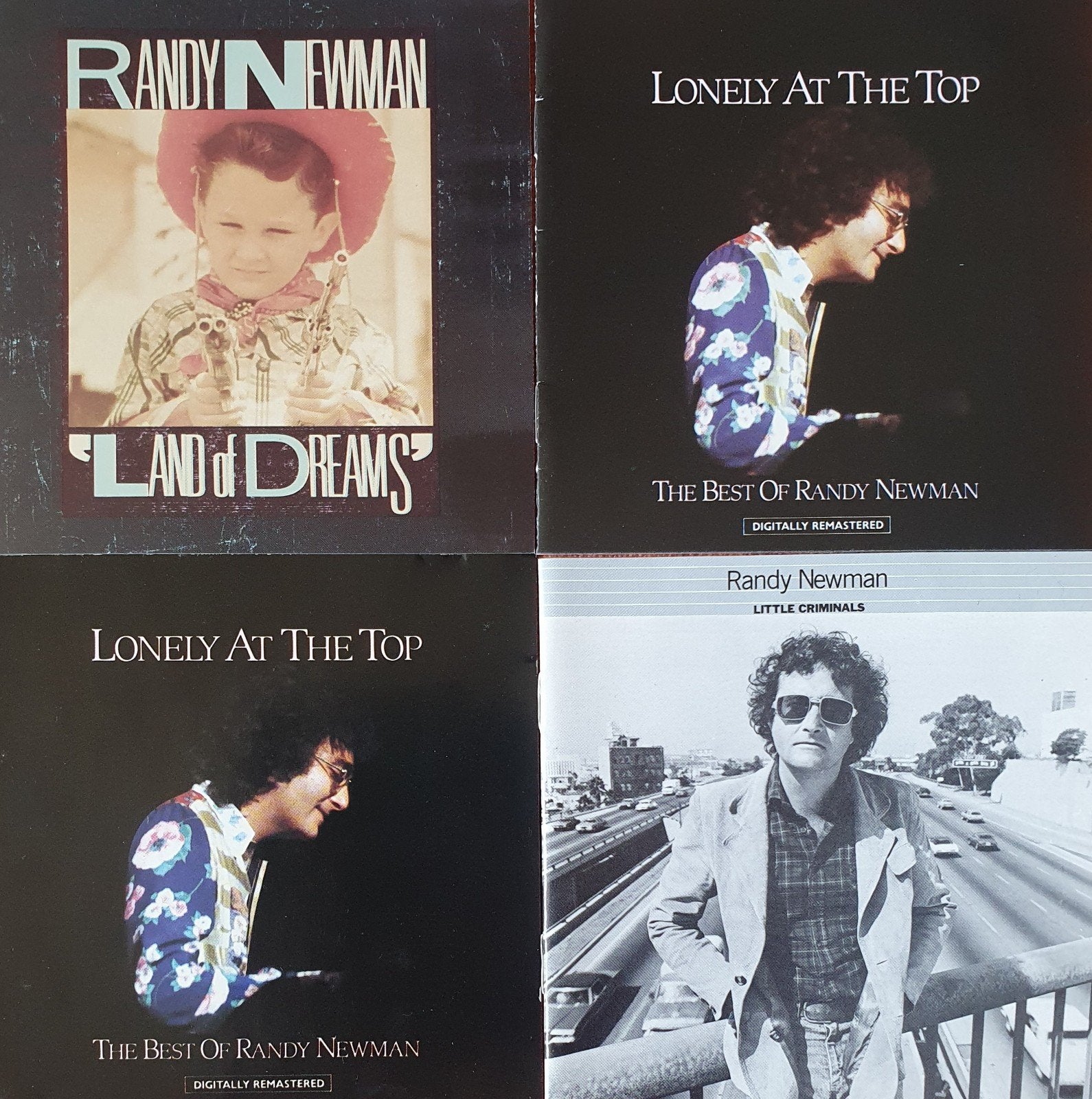 Randy Newman cd's mogen ook per stuk, Ophalen of Verzenden, Zo goed als nieuw