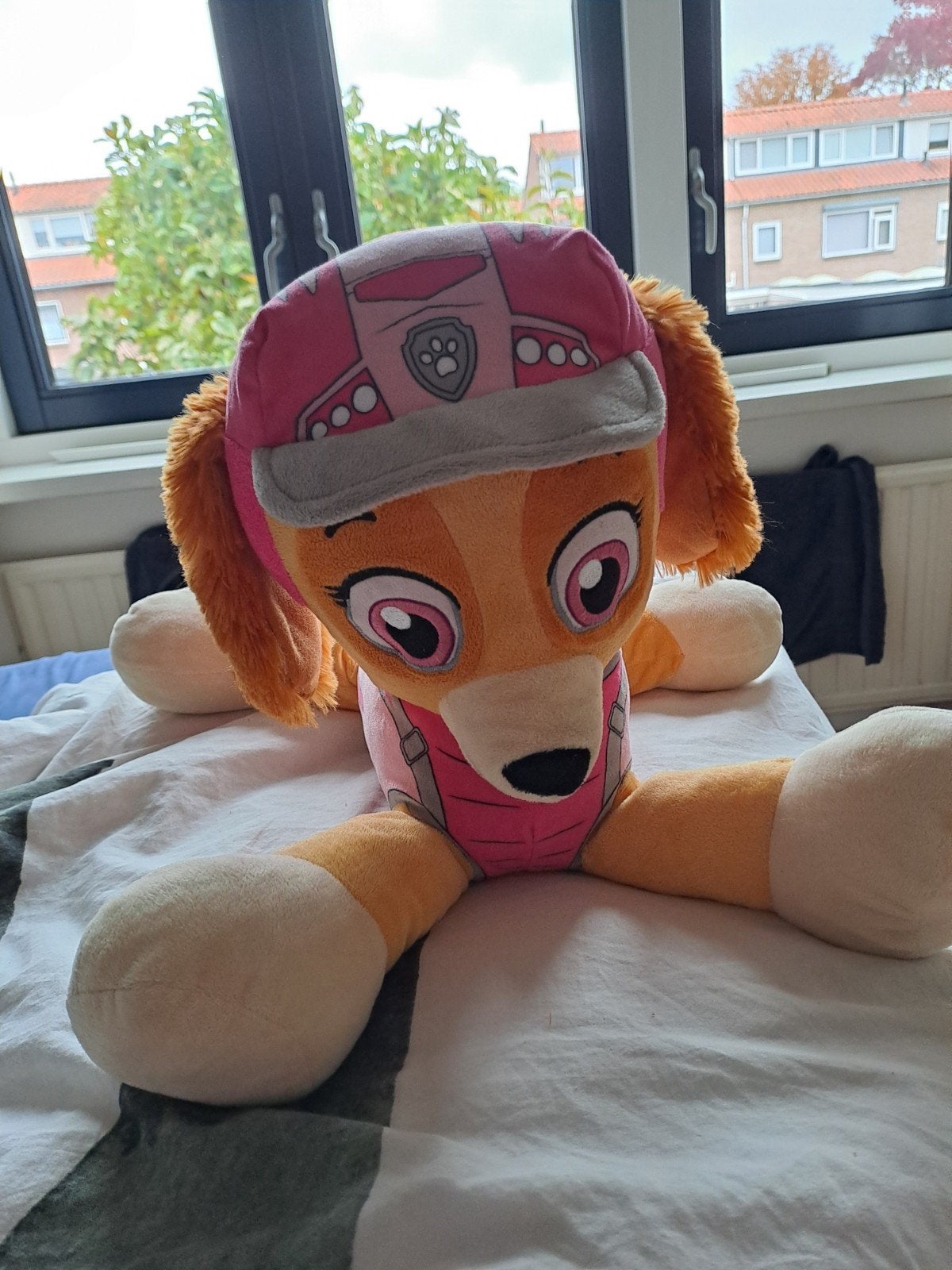 Grote Skye Knuffel Paw Patrol, Gebruikt, Middelgroot (20 tot 80 cm), Meerkleurig, Paw Patrol