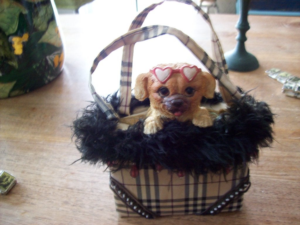 schattige spaarpot van hondje in tas 14breed 16hoog x7cm, Ophalen