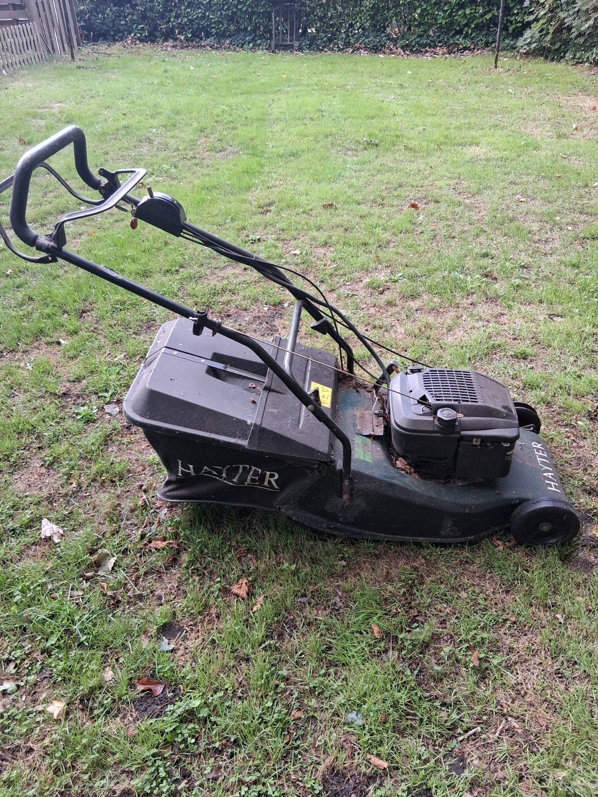 Hayter grasmaaier, Tuin en Terras, Ophalen, Gebruikt