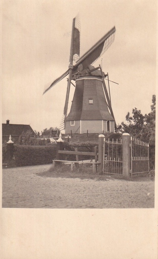 730C fotokaart Borssele molen, Verzamelen, Ansichtkaarten | Nederland, Ophalen of Verzenden, 1920 tot 1940, Ongelopen, Zeeland
