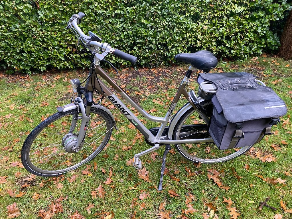 Elektrische fiets GIANT twist go double, 55 tot 59 cm, Ophalen, Gebruikt, Giant