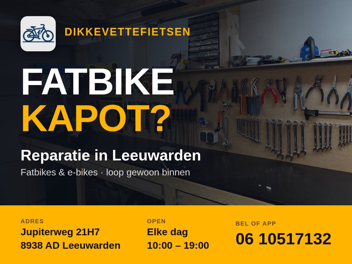 Fatbike reparatie Leeuwarden, Fietsen en Brommers, 49 tot 53 cm, Ophalen of Verzenden, Nieuw, Overige merken