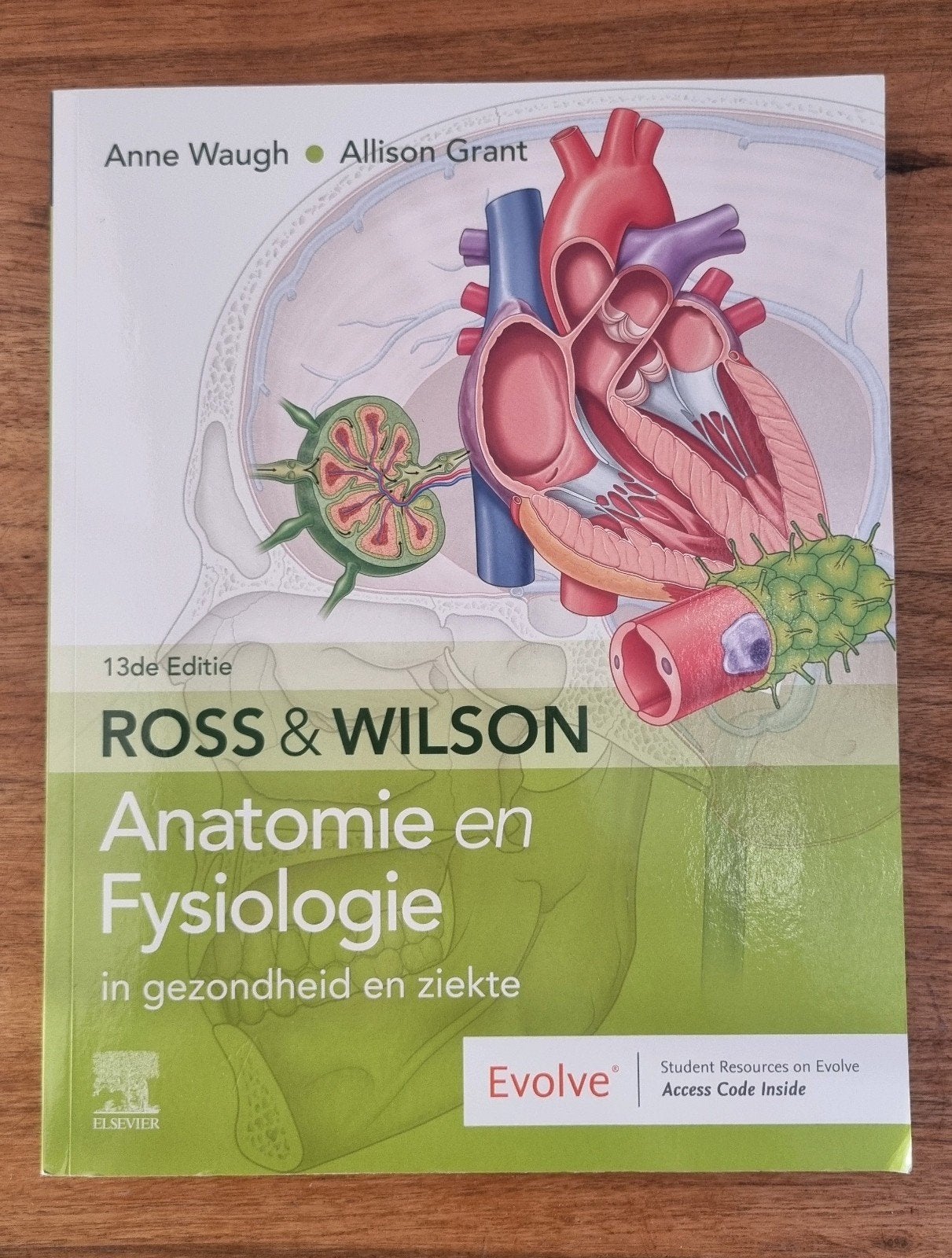 Ross & Wilson Anatomie en Fysiologie, Ross, HBO, Beta, Ophalen