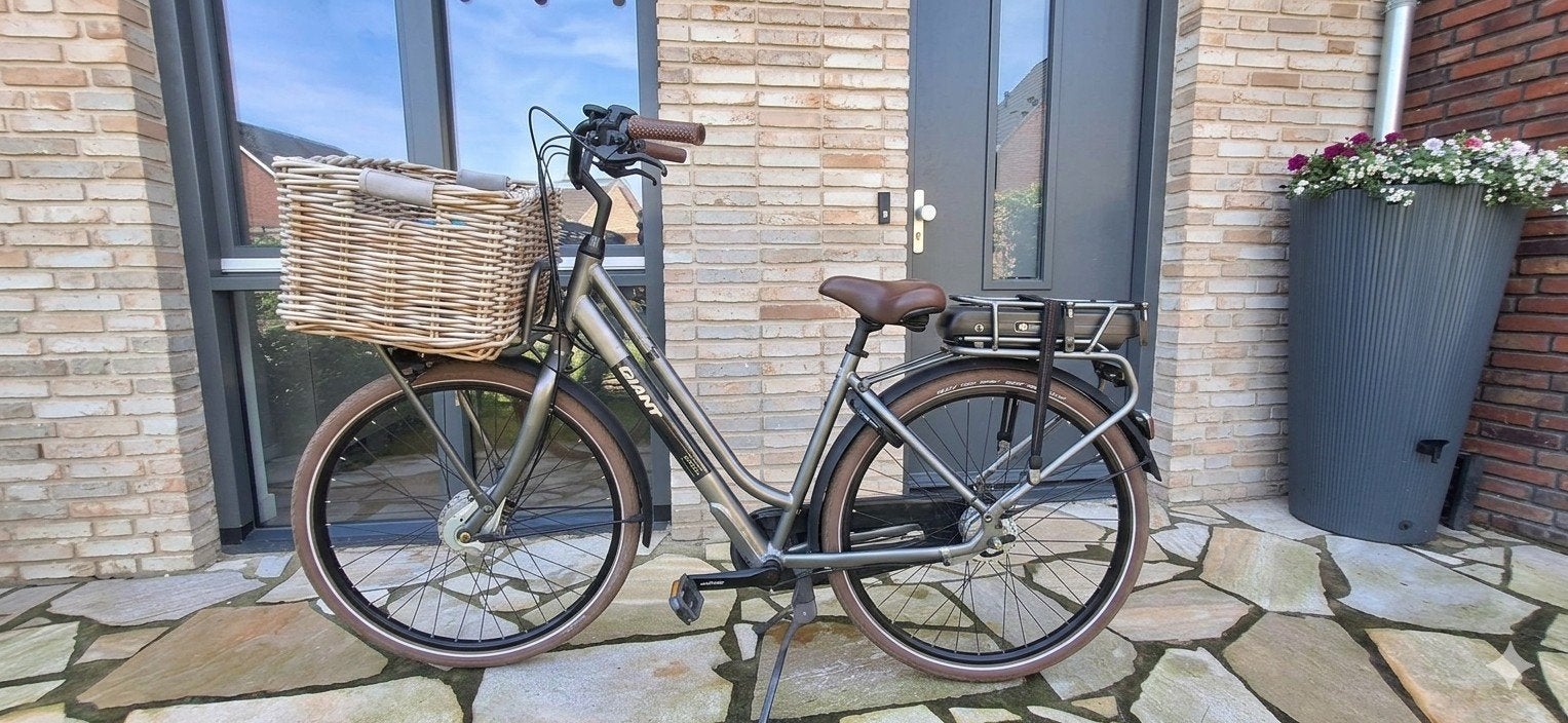 Giant Triple X Dames E-bike (2021), Minder dan 47 cm, Ophalen, Gebruikt, Giant