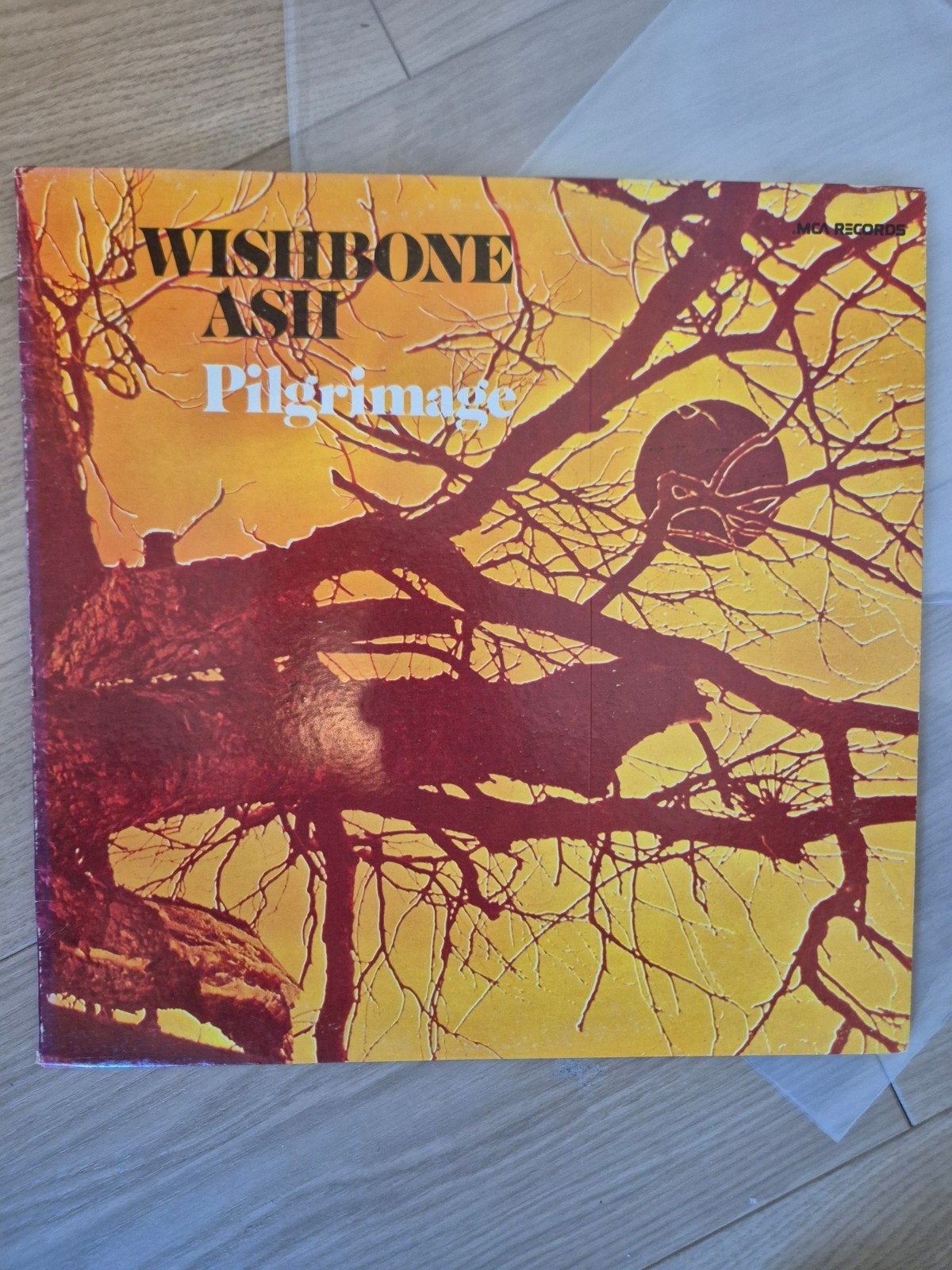 Wishbone Ash - Pilgrimage, Ophalen of Verzenden, Zo goed als nieuw, Overige formaten, Poprock