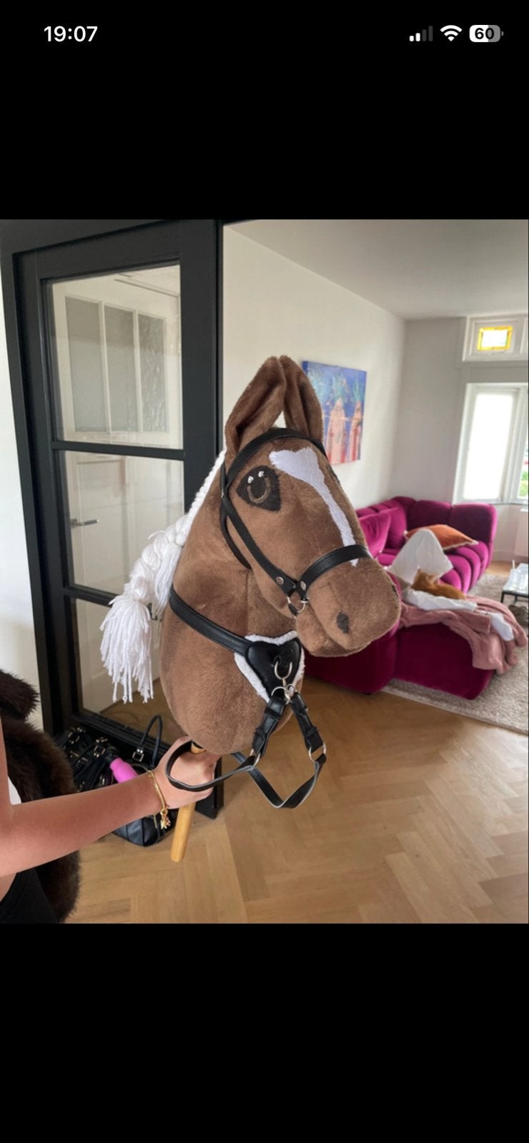 Hobbyhorse / Stokpaardje met hoofdstel, Ophalen of Verzenden, Zo goed als nieuw, Jongen of Meisje