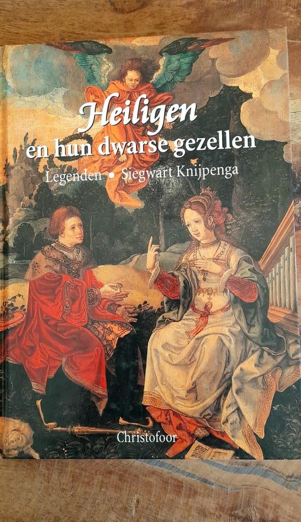 Heiligen en hun dwarse gezellen - Siegwart Knijpenga, Boeken, Ophalen of Verzenden, Zo goed als nieuw, Siegwart Knijpenga, Christendom | Katholiek