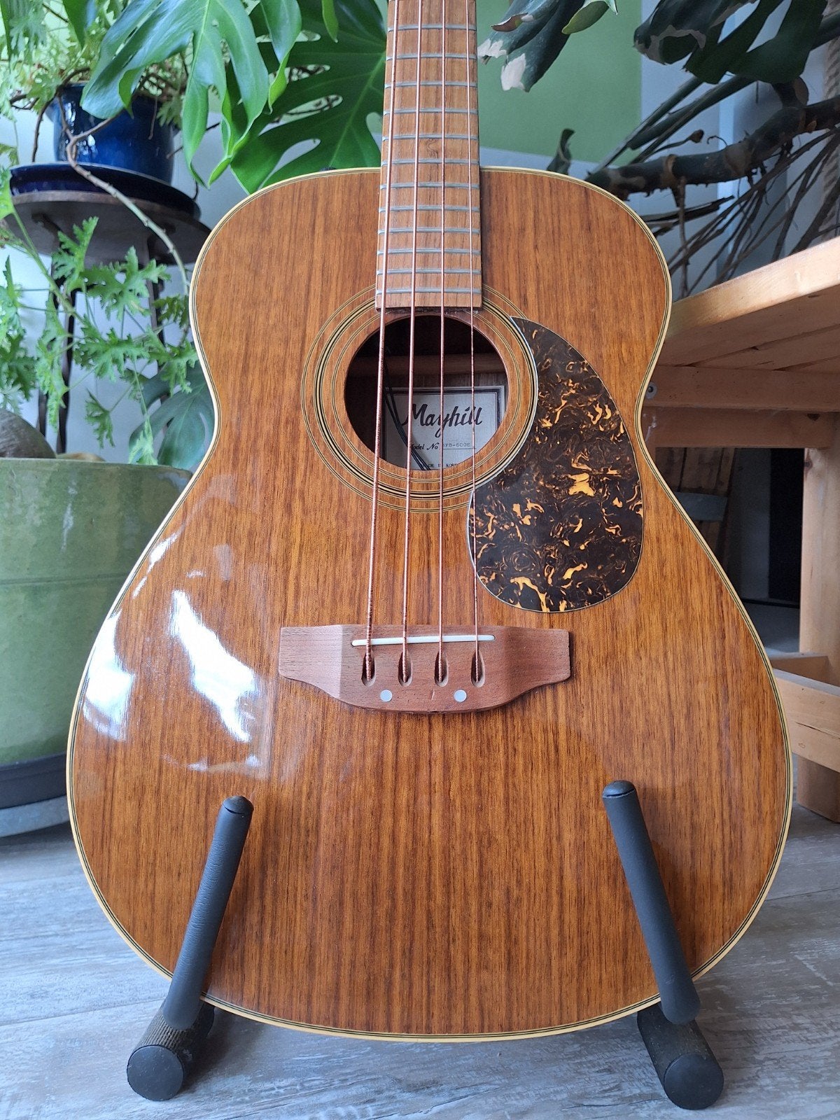 Mayhill Semi-akoestische basgitaar (Korea), Muziek en Instrumenten, Ophalen, Gebruikt, Semi-akoestisch