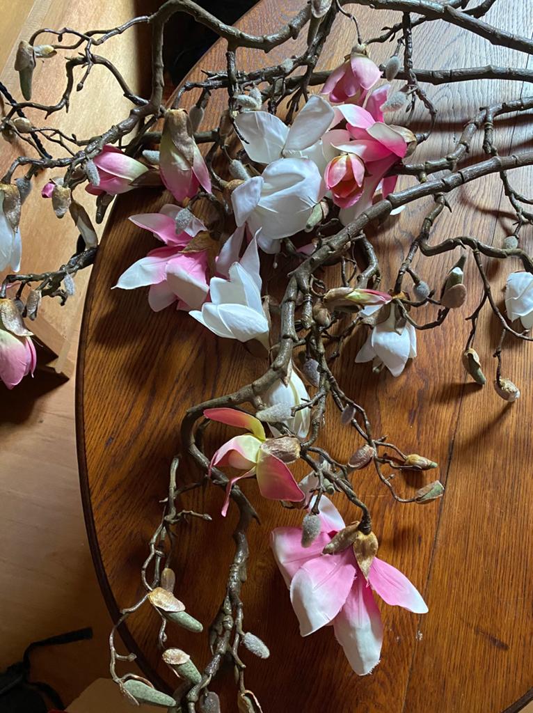 Magnolia takken, Ophalen of Verzenden, Zo goed als nieuw