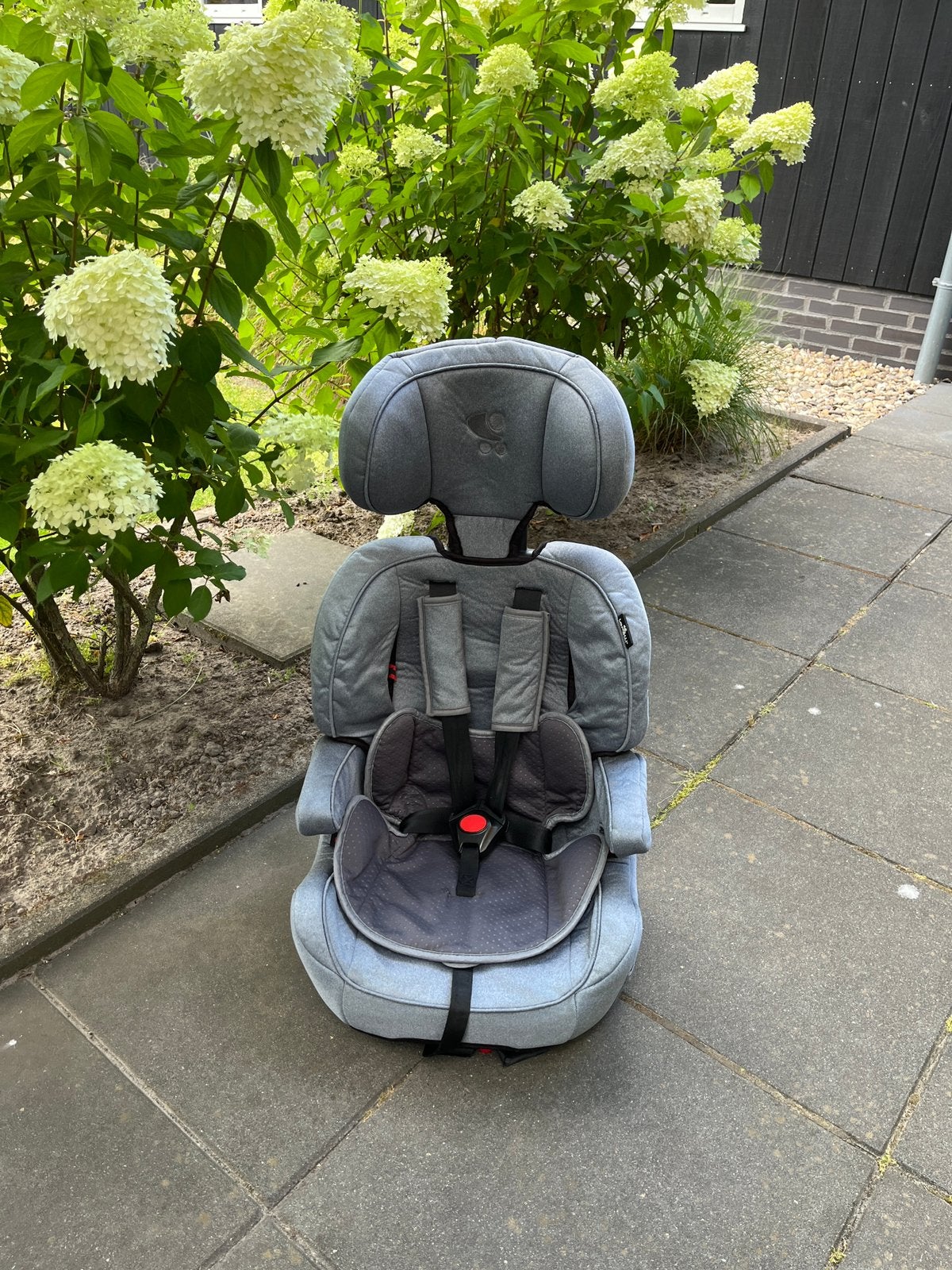 Lorelli Iris autostoel met isofix & top tether, Autogordel of Isofix, Afneembare rugleuning, Zo goed als nieuw, 9 t/m 36 kg