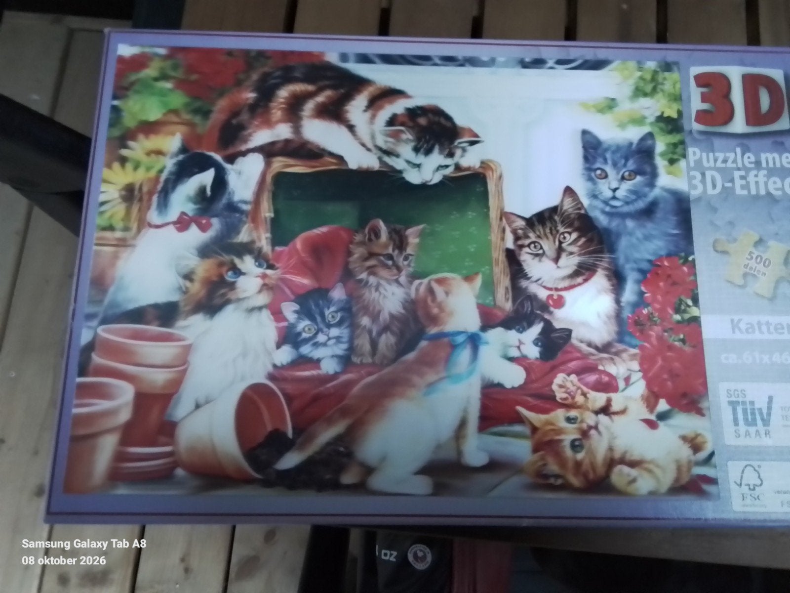 3D Katten Puzzel & Wie is het? Spel - Sinterklaas Tips, Ophalen, Gebruikt, 6 jaar of ouder