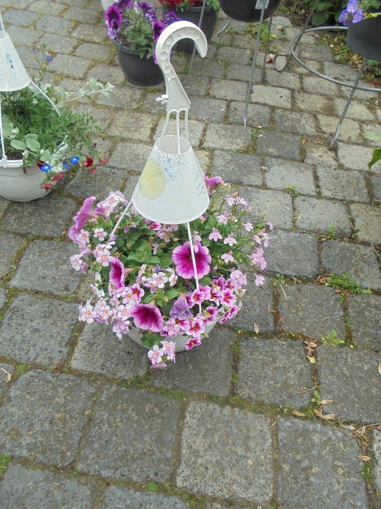hangpotten / hanging baskets, Tuin en Terras, Overige soorten, Volle zon, Eenjarig, Ophalen of Verzenden