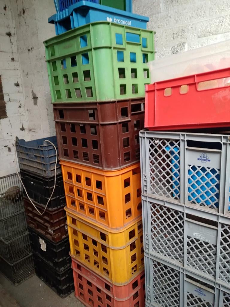 Oude bakkers kratten in diverse kleuren - Ophalen Maastricht, Ophalen, Gebruikt, 40 tot 60 cm, 50 tot 75 cm