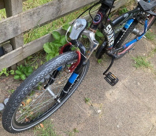 Batavus Snake - fiets 24 inch, Ophalen, Terugtraprem, Versnellingen, Batavus