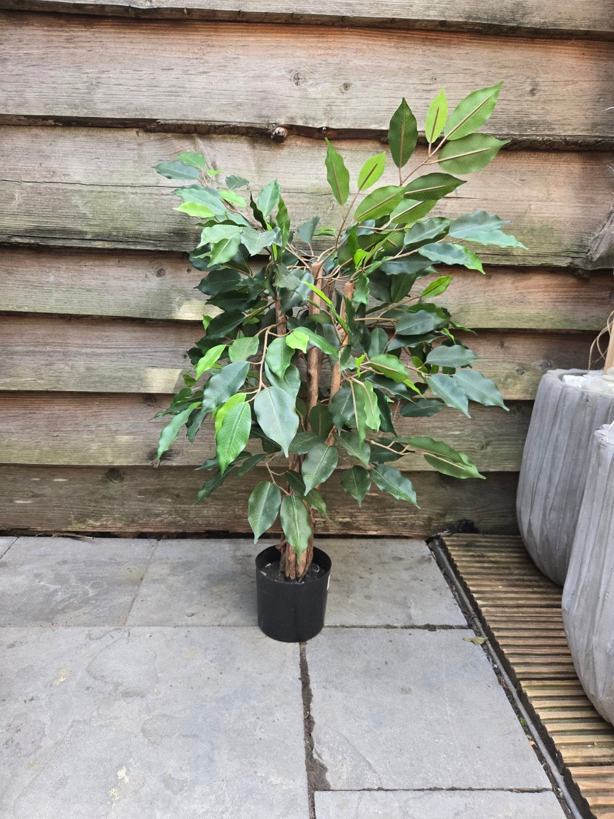 Kunst Ficus Benjamina - Realistische Kunstplant, Binnen, Met pot of vaas, Kunstplant, Ophalen of Verzenden