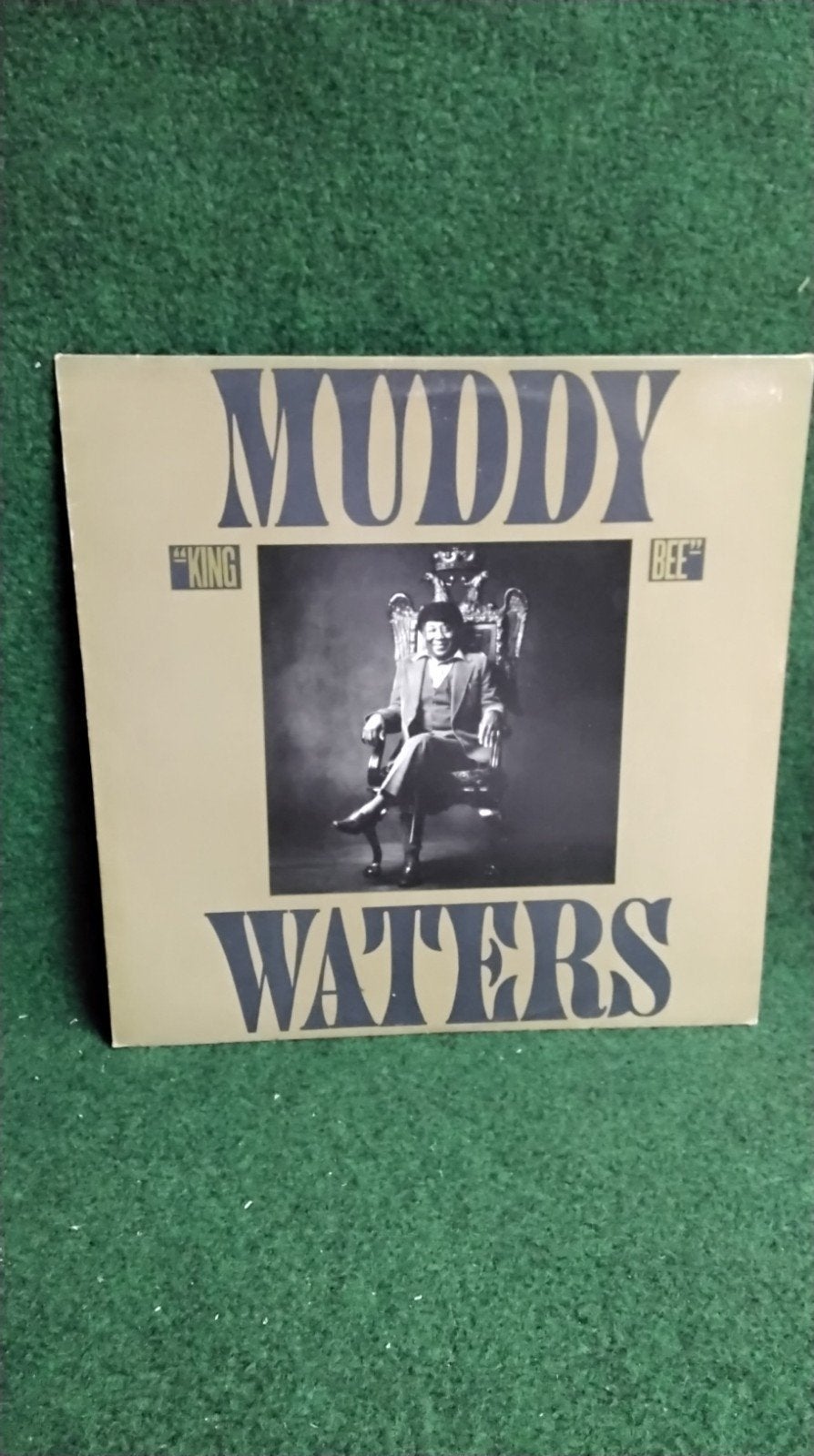 MUDDY WATERS, Cd's en Dvd's, Vinyl | Jazz en Blues, Ophalen of Verzenden, LP