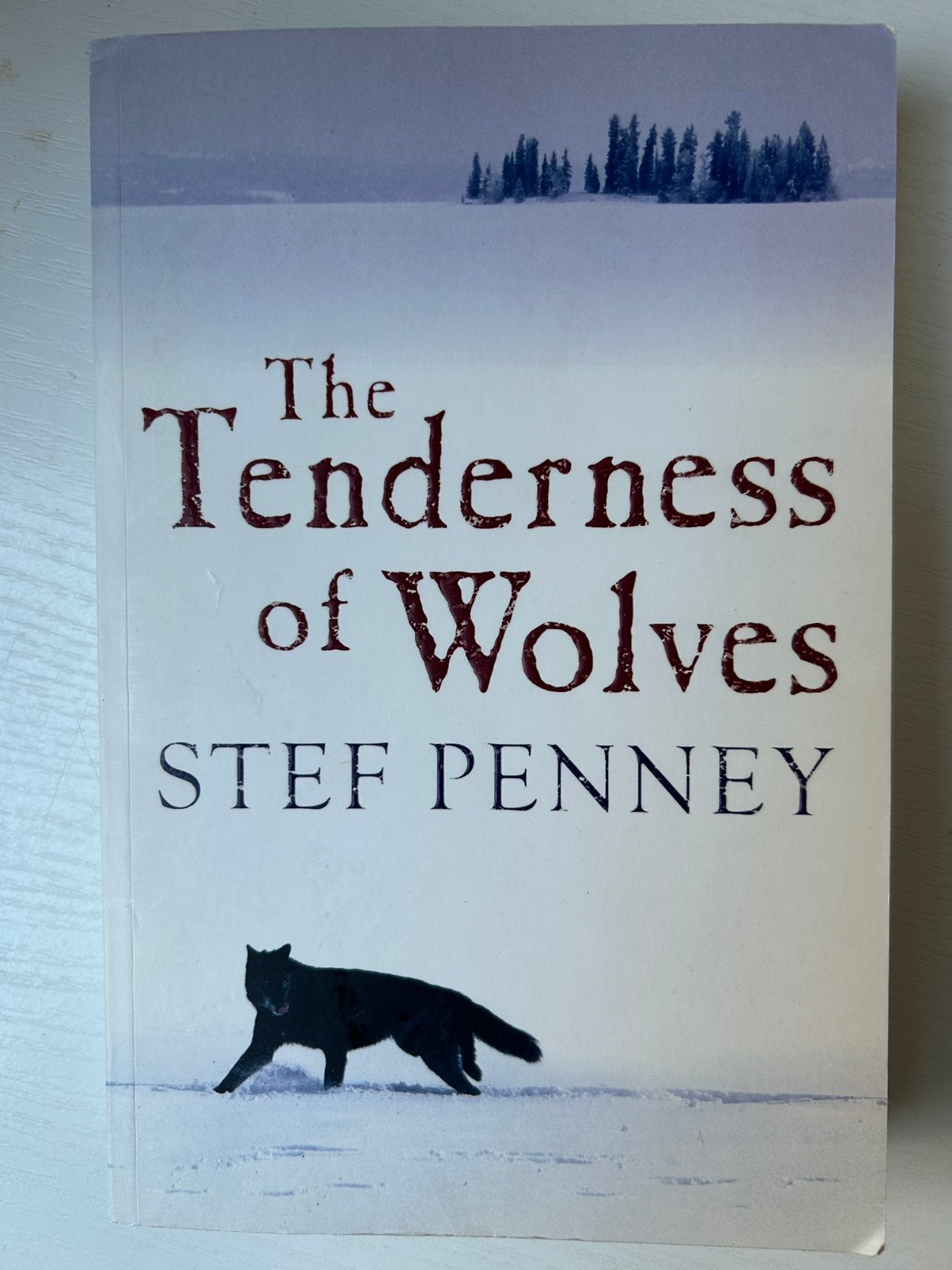 The Tenderness of Wolves Stef Penney, Ophalen of Verzenden, Gelezen