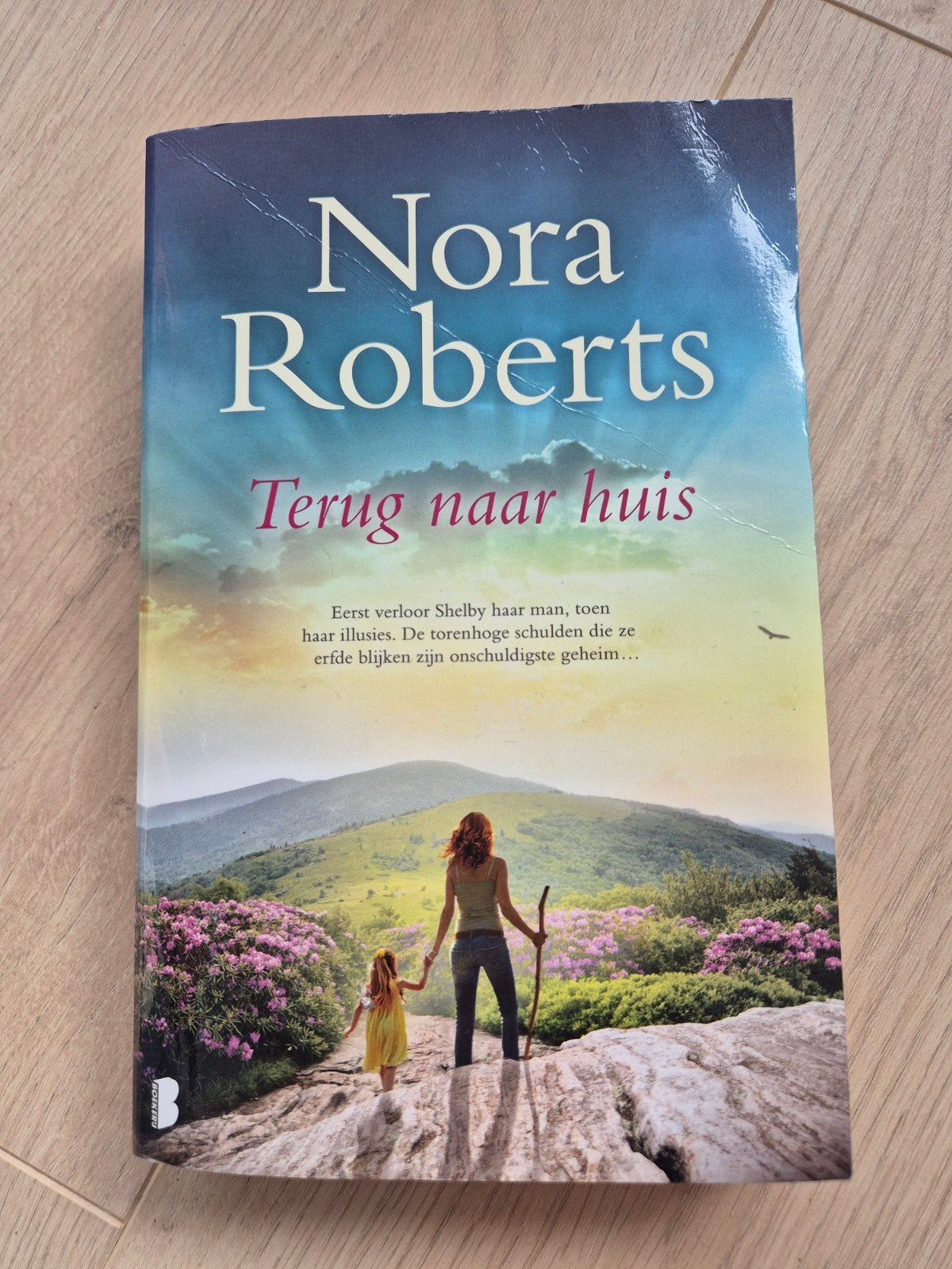 Nora Roberts - Terug naar huis, Ophalen of Verzenden, Zo goed als nieuw, Nora Roberts, Nederland