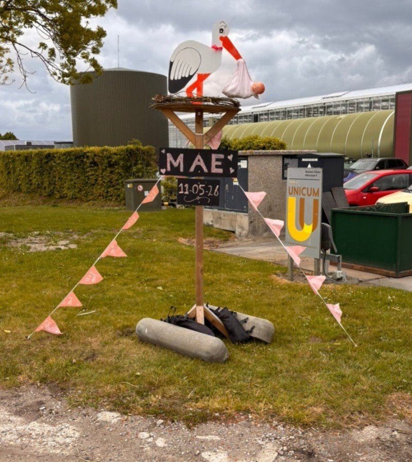 BESCHIKBAAR geboortebord ooievaar op nest, Ophalen of Verzenden