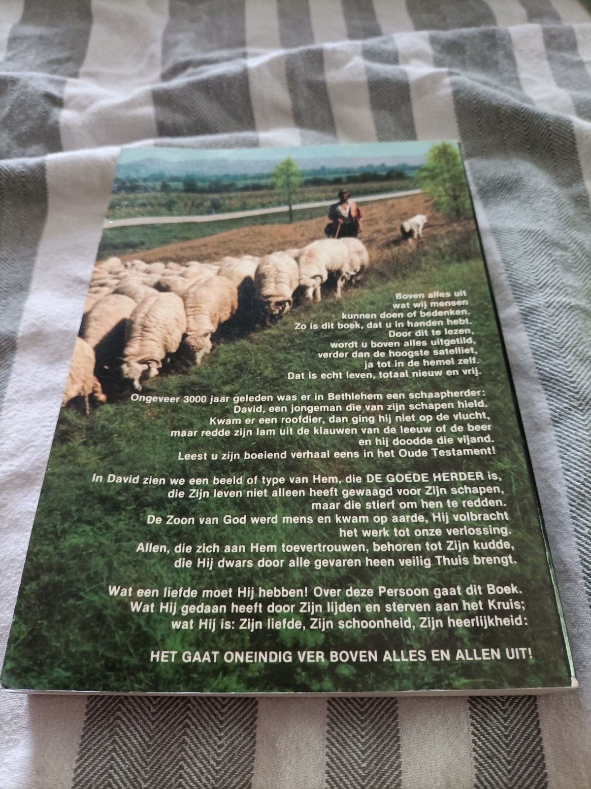 Ver boven alles uit - Het Nieuwe Testament (Bijbel), Antiek en Kunst, Antiek | Boeken en Bijbels, Ophalen of Verzenden, Diverse auteurs