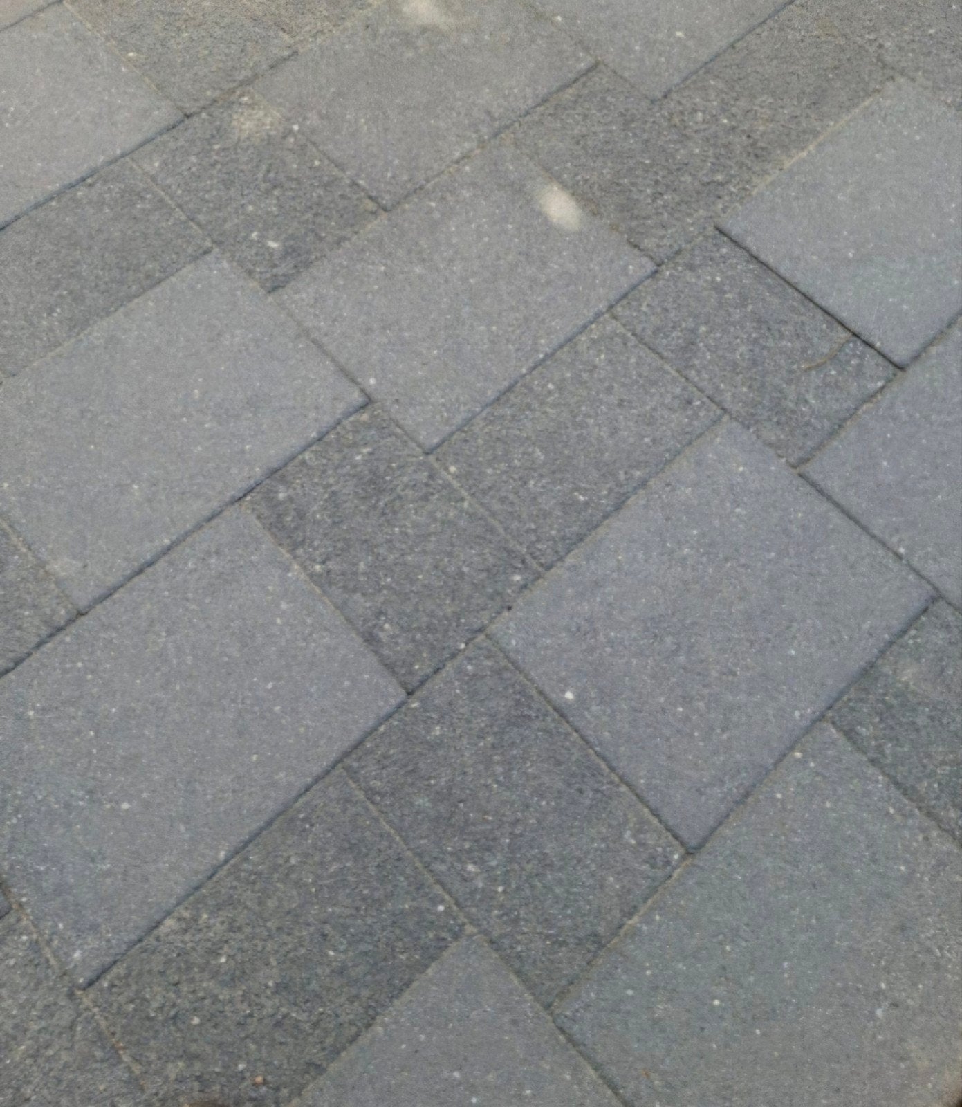 GRATIS 30 M2 WILDVERBAND verharding 6 cm dik, Gebruikt, Klinkers, Ophalen of Verzenden, 10 m² of meer