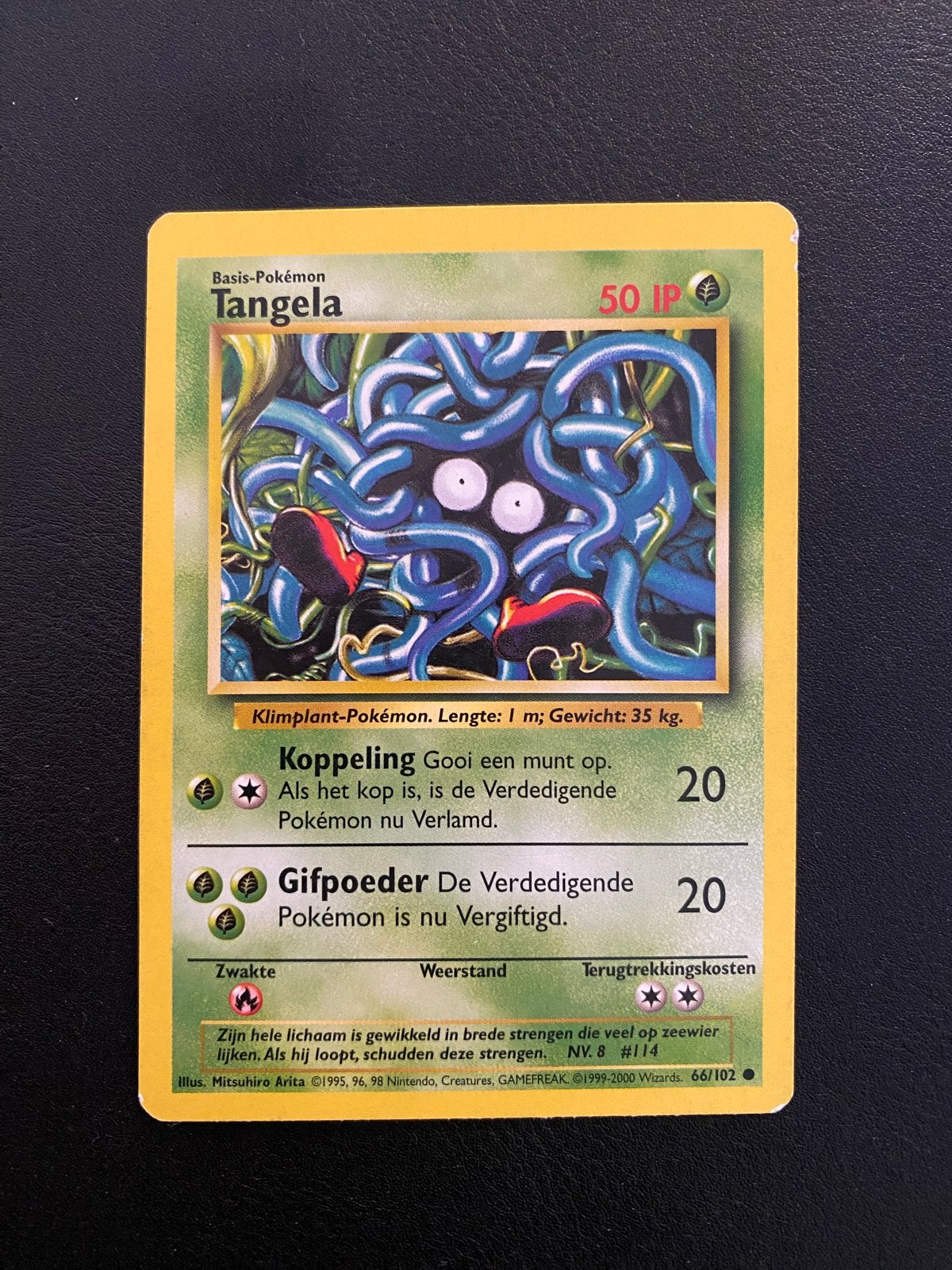 Tangela 66/102 Common Pokémon Base (1995) Set Nederlands, Ophalen of Verzenden, Zo goed als nieuw, Losse kaart