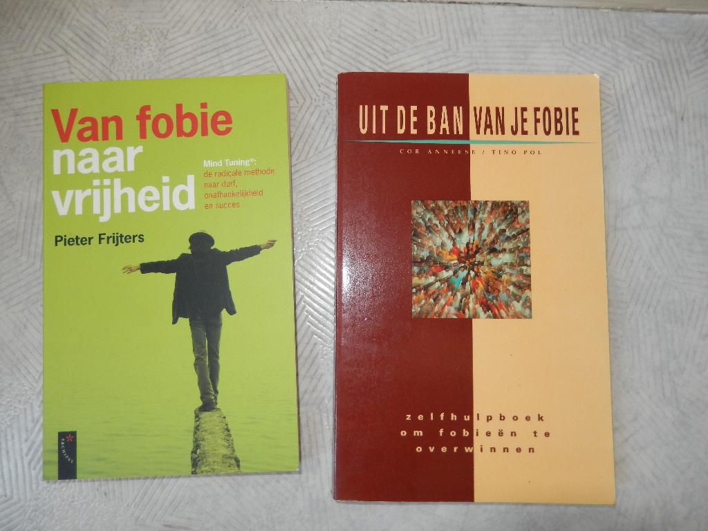 Uit de Ban van Je Fobie Anneese/Pol zelfhulp fobieën overwin, Ophalen of Verzenden, Nieuw, Anneese & Pol Gray Dalai Lama