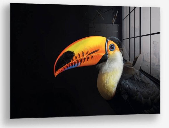 Glasschilderij Toucan 100x150 - Gehard glas, Glas, Achter glas, Ophalen of Verzenden, Dieren