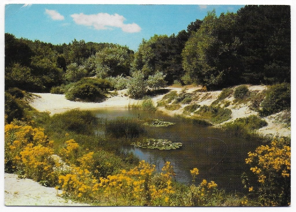 Schouwen-Duiveland gelopen Ansichtkaart ( B2532 ), Ophalen of Verzenden, 1980 tot heden, Gelopen