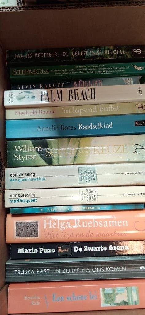 Diverse boeken: romans, thrillers en meer, Boeken, Ophalen of Verzenden, Gelezen, Diverse auteurs, Nederland