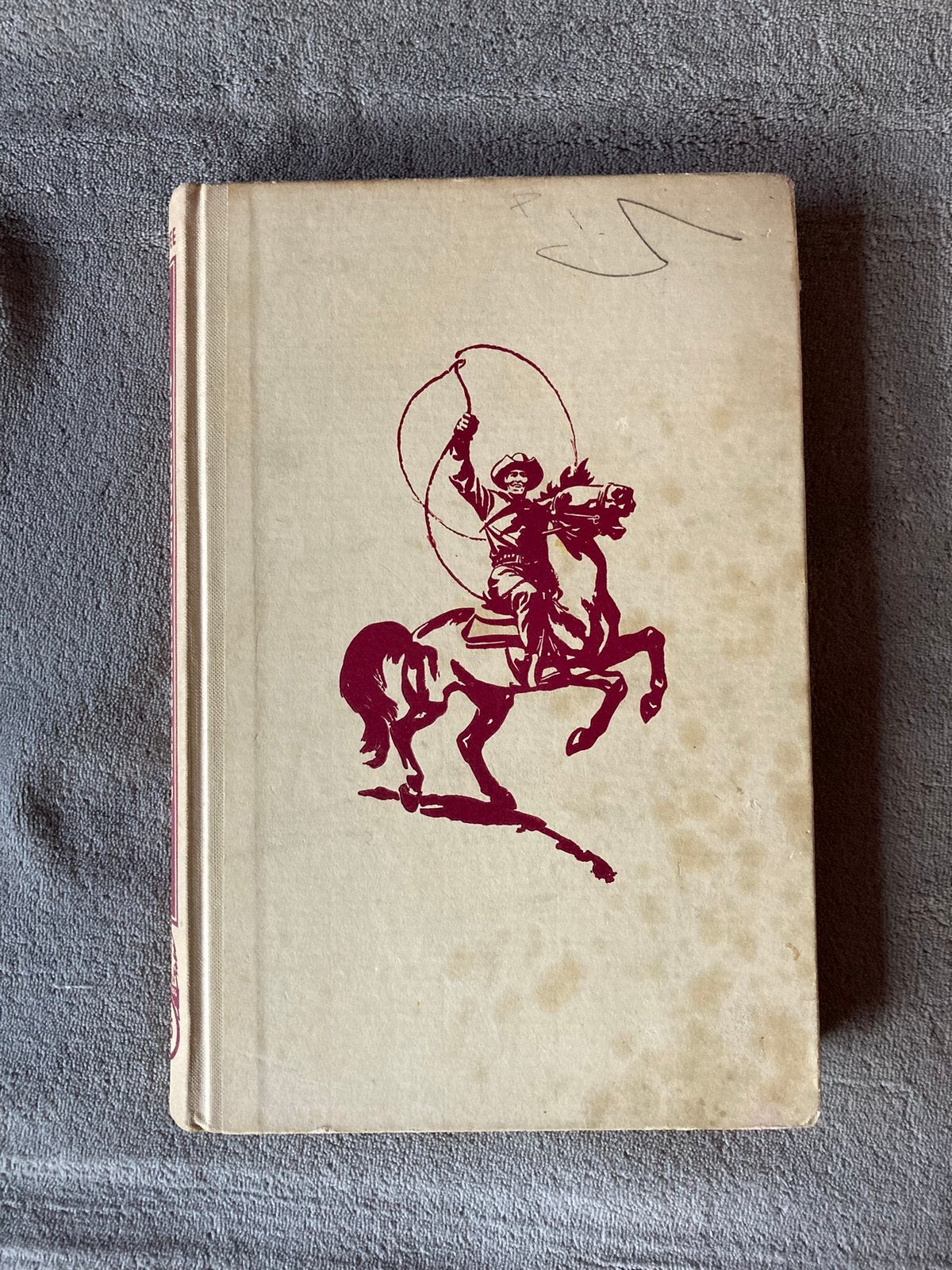 Arendsoog no 35 P. Nowee, Ophalen of Verzenden, Gelezen, Fictie