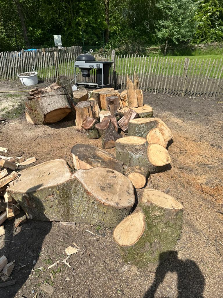 Eiken hout boomstam om te zagen & kloven, Tuin en Terras, Minder dan 3 m³, Ophalen