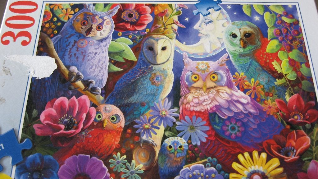 14 legpuzzels, Hobby en Vrije tijd, Denksport en Puzzels, Ophalen, 500 t/m 1500 stukjes, Zo goed als nieuw, Legpuzzel