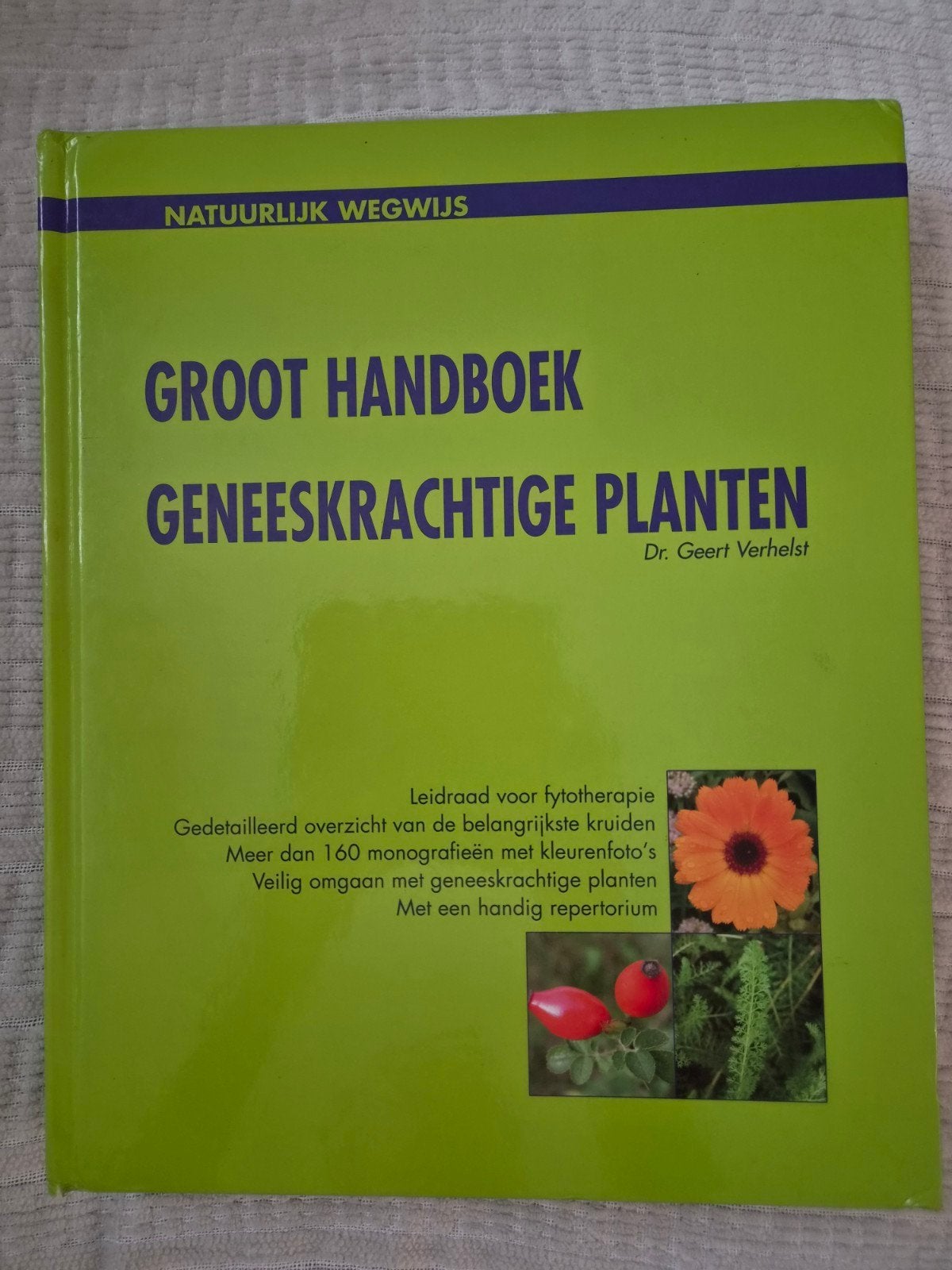Groot Handboek Geneeskrachtige Planten - Dr. Geert Verhelst, Ophalen of Verzenden, Zo goed als nieuw, Kruiden en Alternatief, Dr. Geert Verhelst