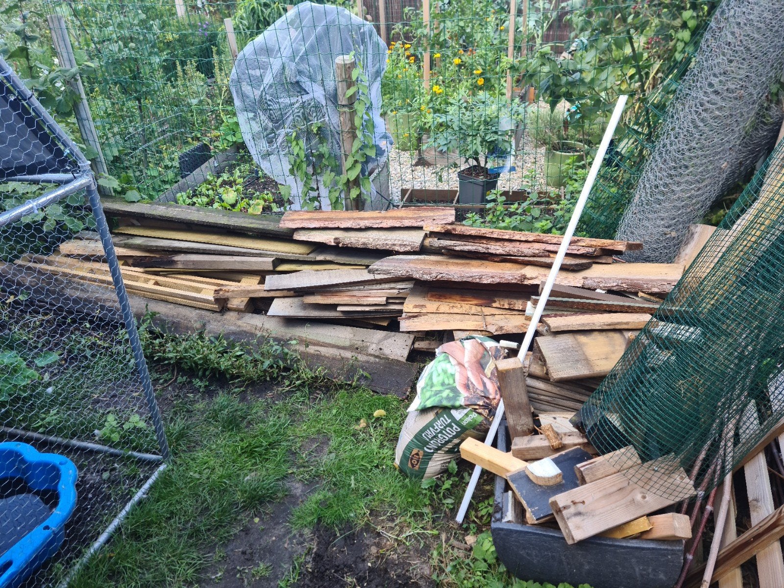 Gratis diverse houten planken en balken, Ophalen, Gebruikt, Minder dan 25 mm, Overige typen