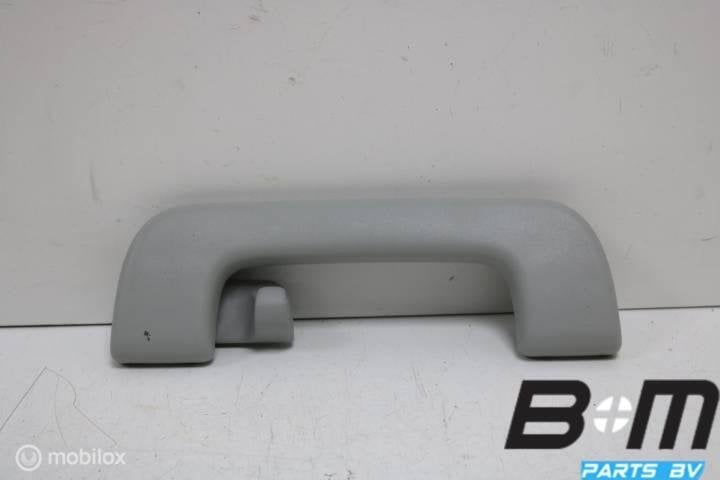 Handgreep in hemel rechtsachter Audi A3 8V 8V0857608, Auto-onderdelen, Interieur en Bekleding, Gebruikt