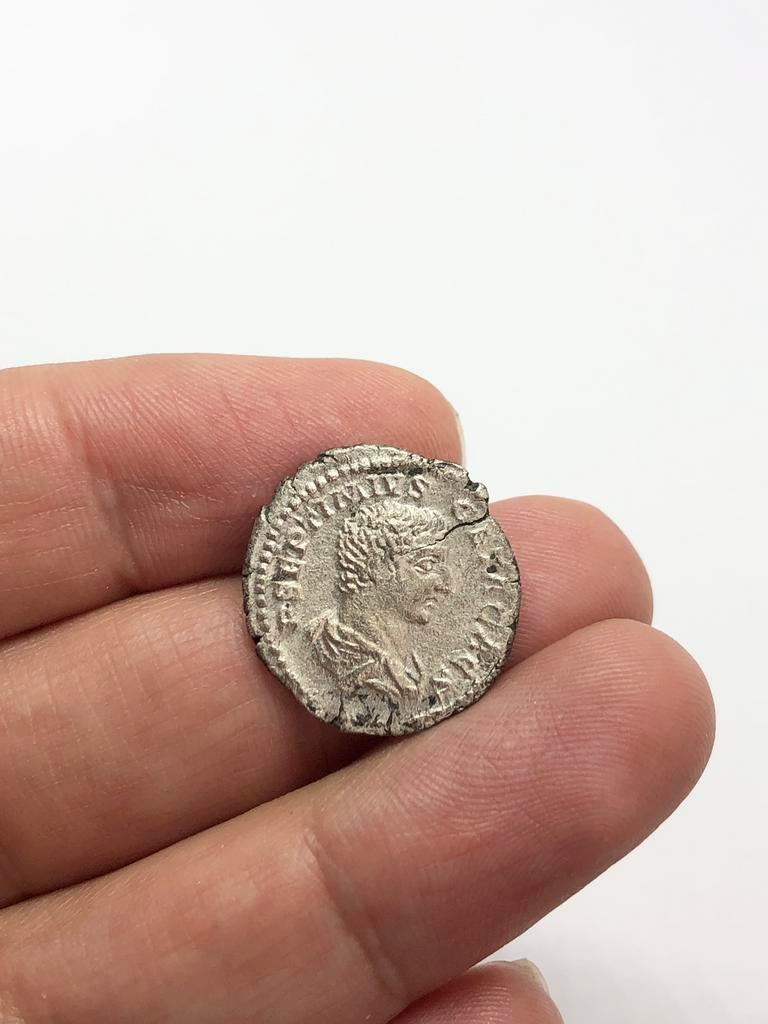 Romeinse munteenheid, Geta denarius (198-209 AD), Verzenden, Italië